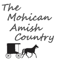 Ruth's Amish Dolls - Arts & Crafts, Merchant